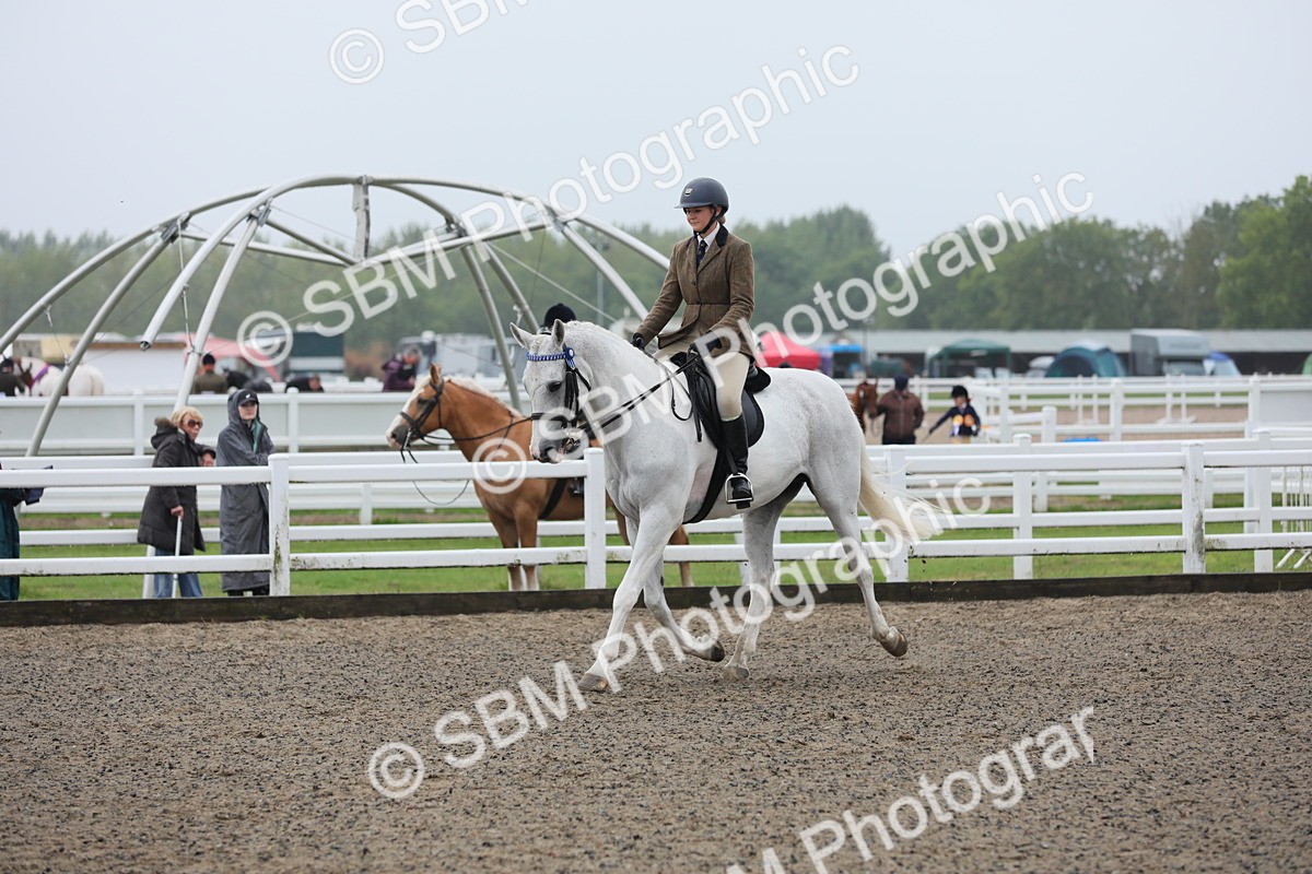SBM_20036 - Class 802 - Ridden Groom - Helpers class