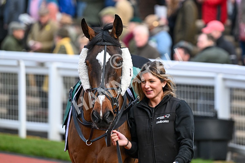 171124-Race 4-Paddock-Ballygrifincottage-3380 - Race 4