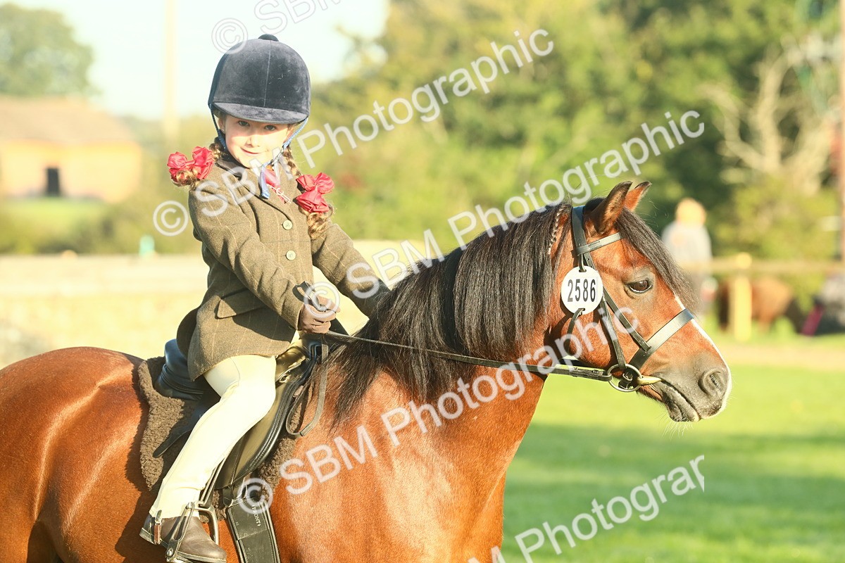 SBM_56728 - S36 - Starters Best Turnout