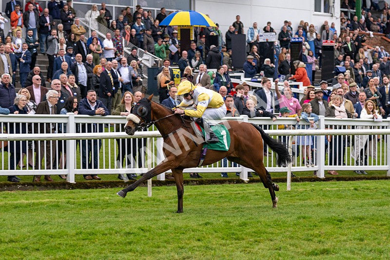 040524-Race 2-Wobwobwob-4092 - Race 2