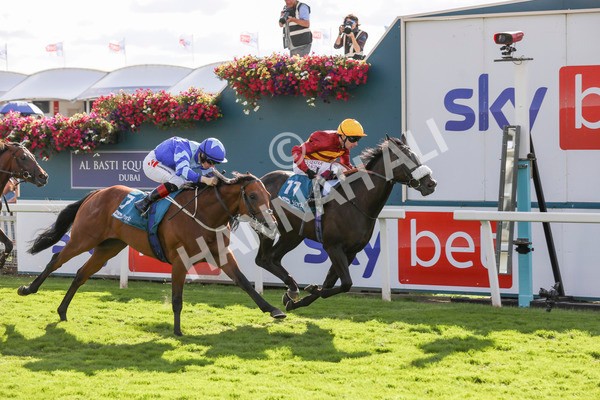 240824-Race 6-Tropical Storm-9214 - Race 6 4.45pm Julia Graves Roses Stakes