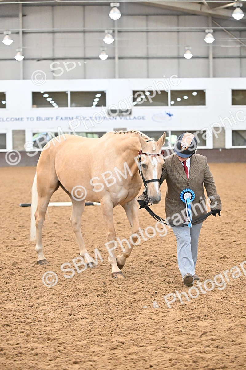 EB7_8444 - Class 3 - In Hand Foreign Breeds & Warmbloods