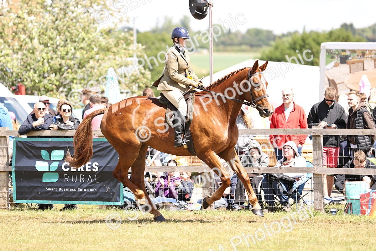 SBM_14765 - Class 88-89 - LIHS BSHA Rising Star of Ridden Hunter Type