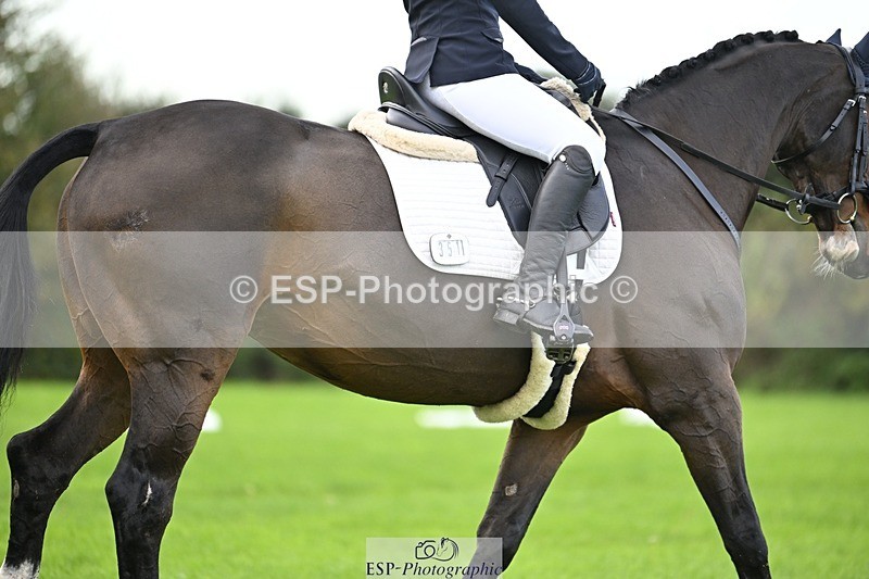 241025-093151-05553 - 351-Grace.Gillard-INDI