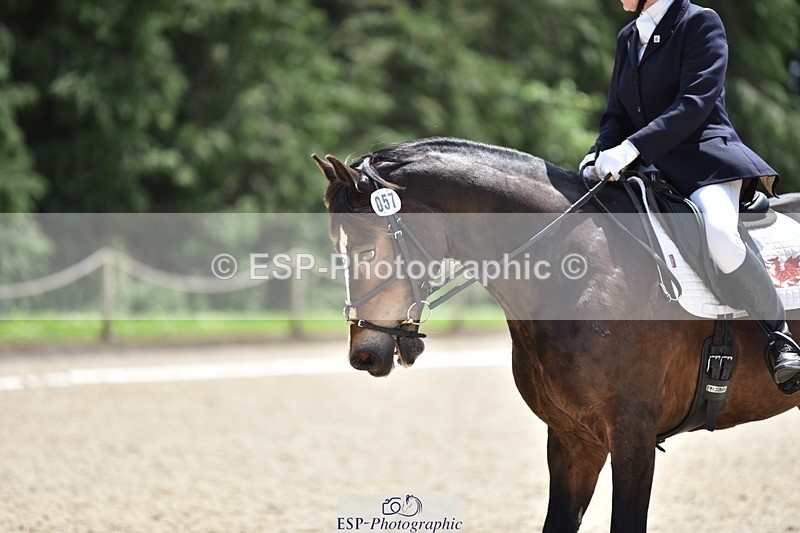 240605-133622-00464 - Cls 5 Elementary 43