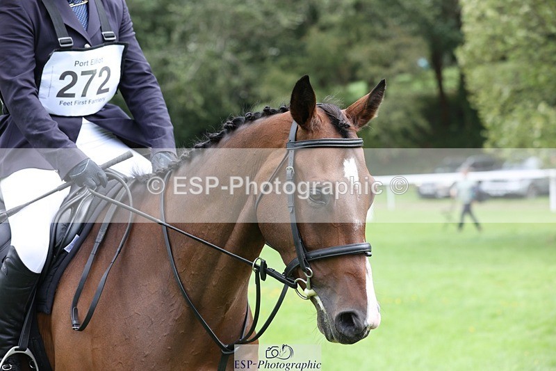 230805-135503-03387 - SJ 13 to End