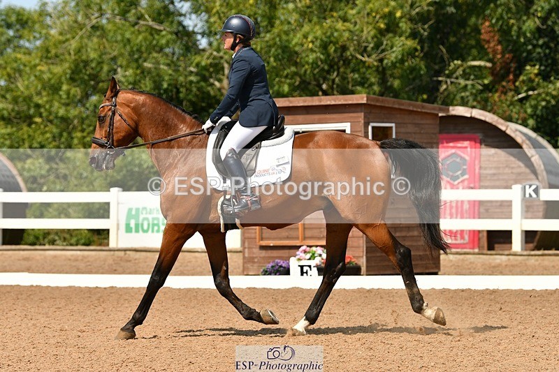 250817-131833-09892 - 217-Jane.GregoryGAME.BOY.V.T.RECHT.EIND