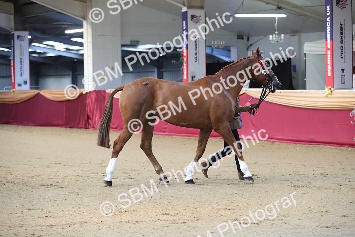 SBM_00593
