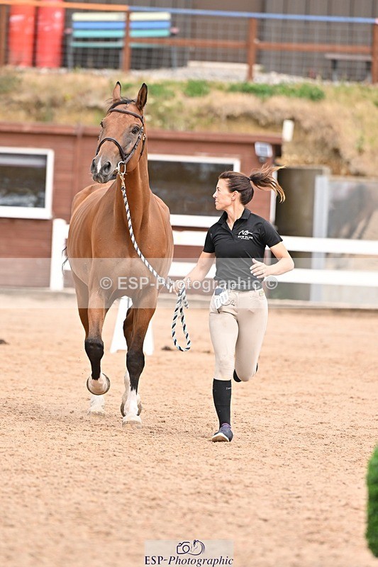250716-154257-02146 - Trot Up 3.30 to 4.30