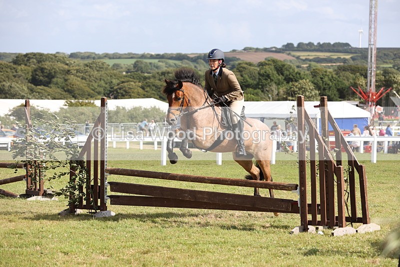 JPP_2663 - Class 20: Working Hunter 70cm