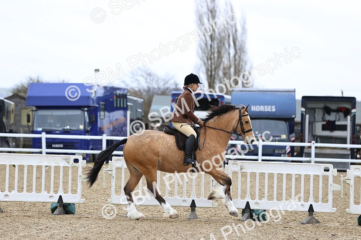 SBM_007012 - Class 29 - 30 - M&M Pure Novice Small-Large Breeds