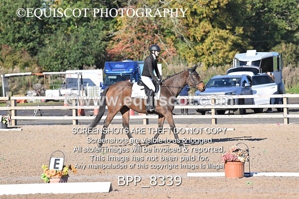 BPP_8339 - SHORT ARENA INTRO 1