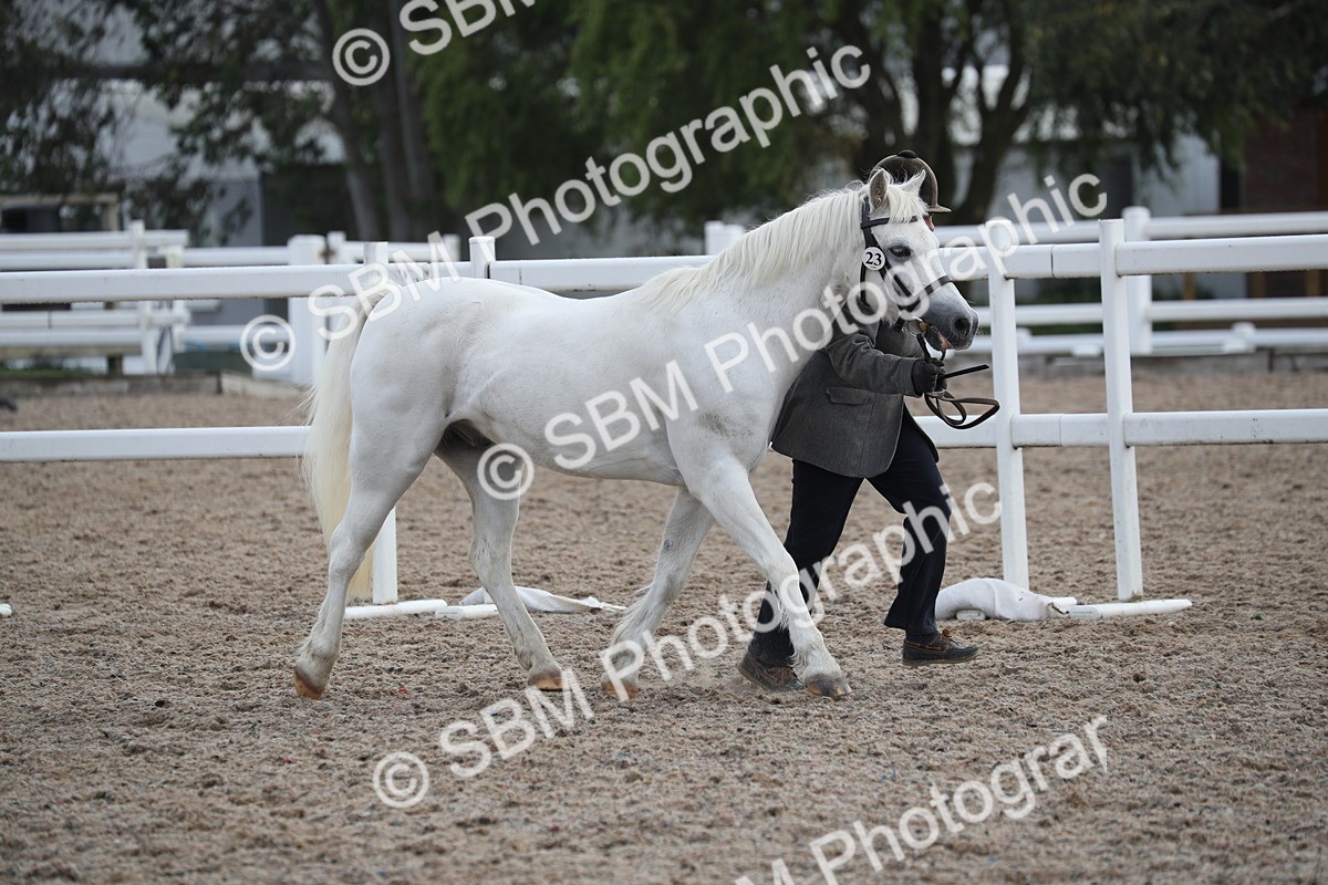 SBM_23104 - Class 605 - 2025 Area - IH Veteran