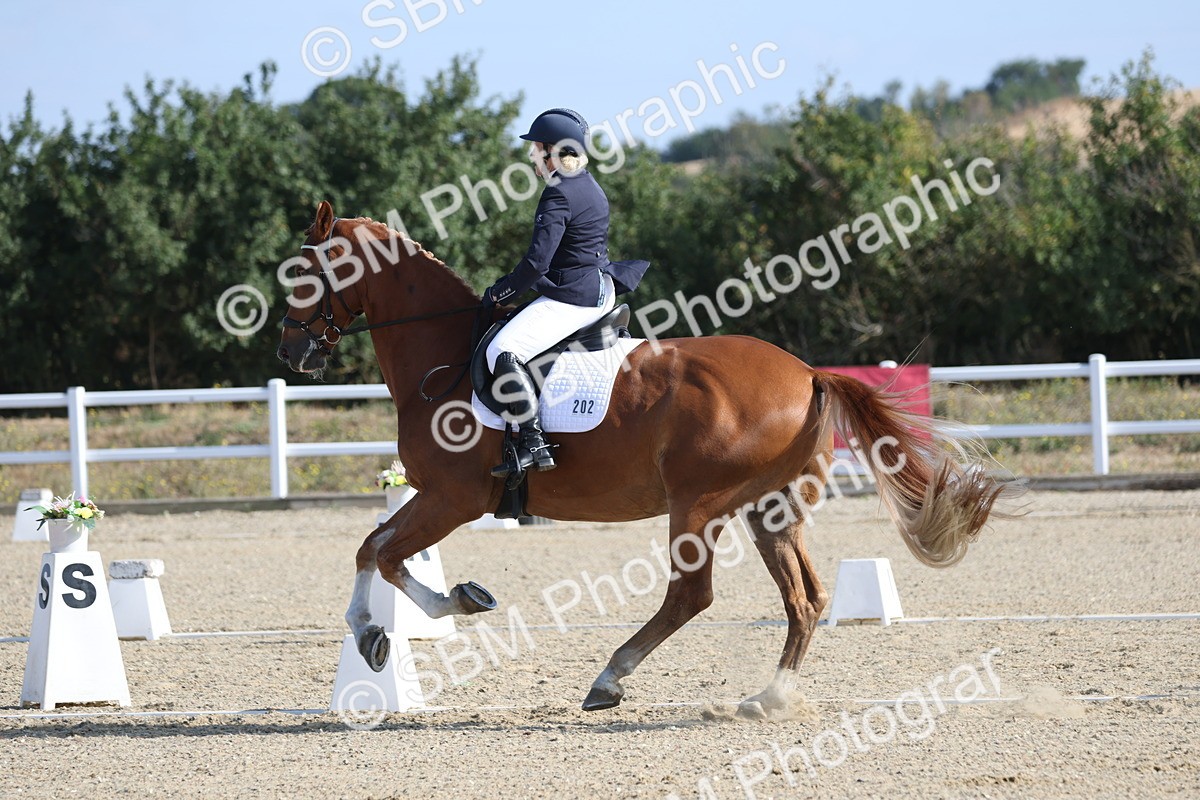 SBM_020219