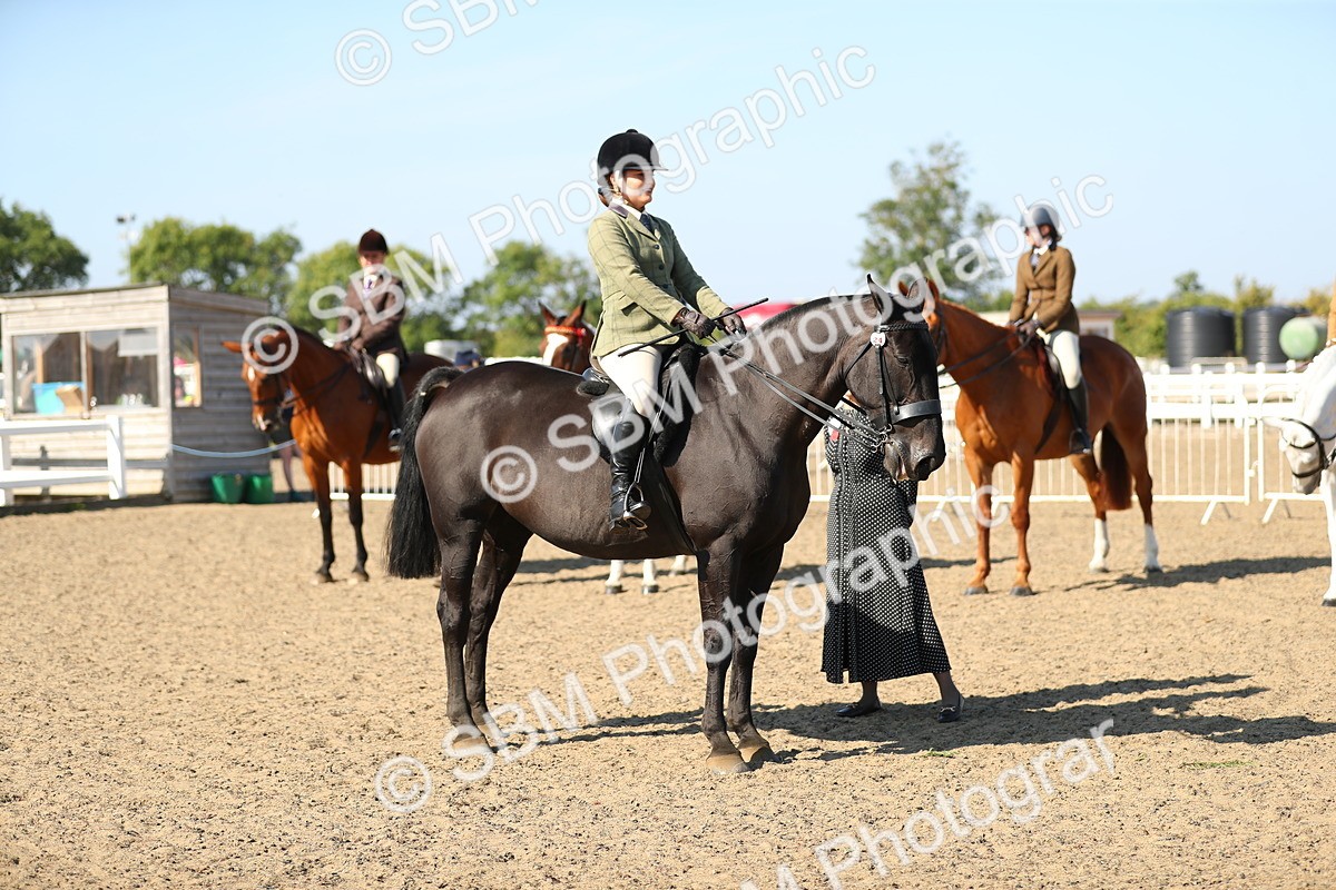 SBM_02258 - Class 43 Ridden Competition Horse/Pony