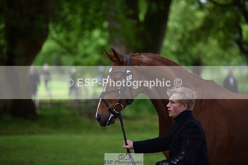 240522-163922-01065 - 265-GREANNANSTOWN_MONBEG_JOE-Finn_Healy