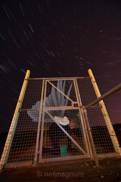 the cage that trapped the bird - SELF PORTRAITS