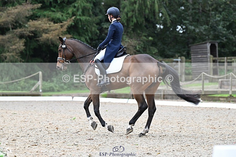 231019-122439-02759 - 044-COOLEY.ON.THE.CARDS-Charlotte.Cooke-DR