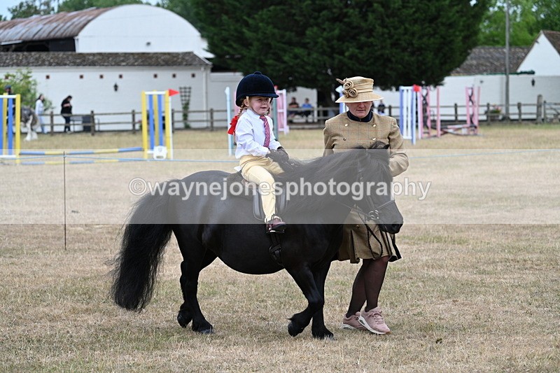 WJ7_8511 - Class 4 Prettiest Mare up to 14.2hh