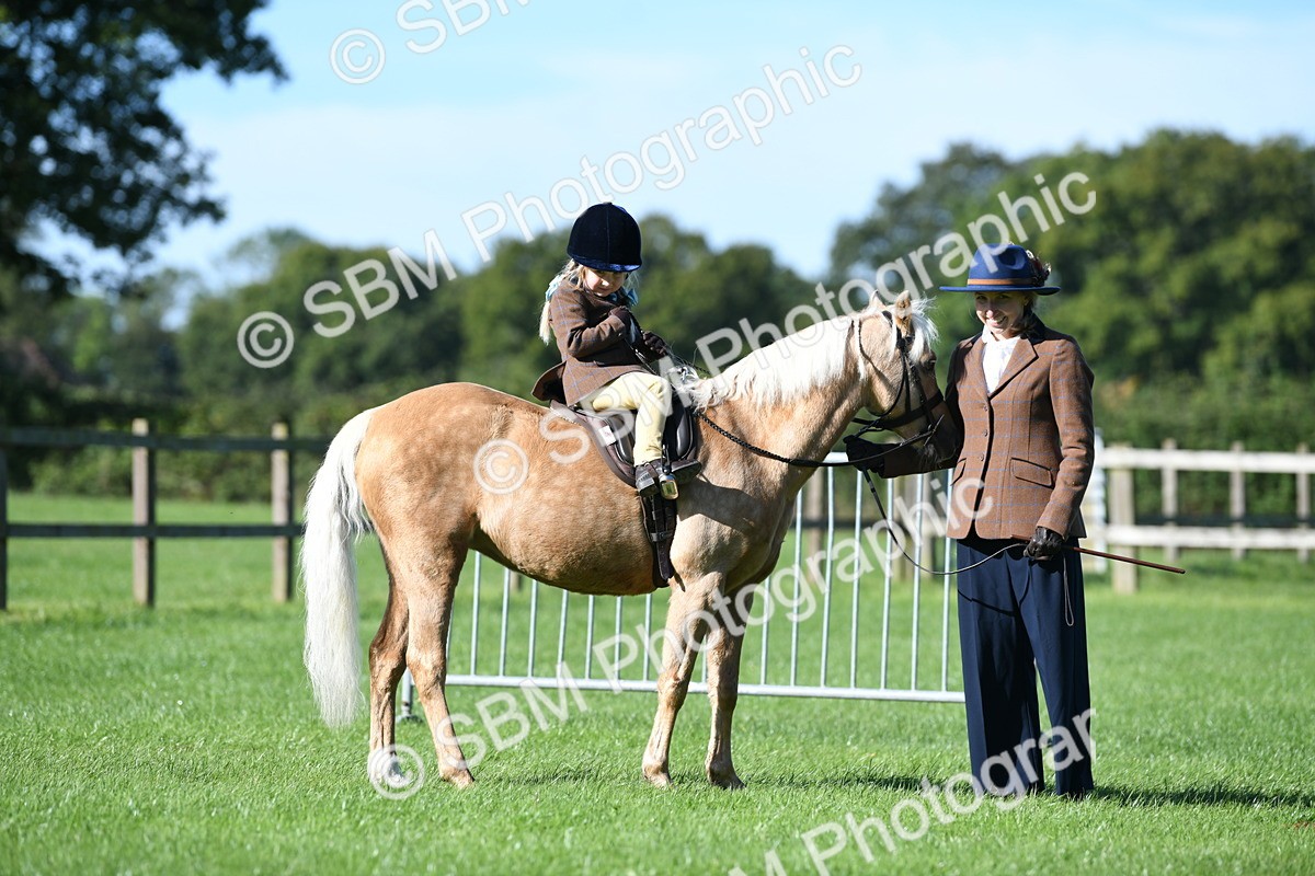 SBM_36828 - S18 - Novice & Newcomers Lead Rein Pony