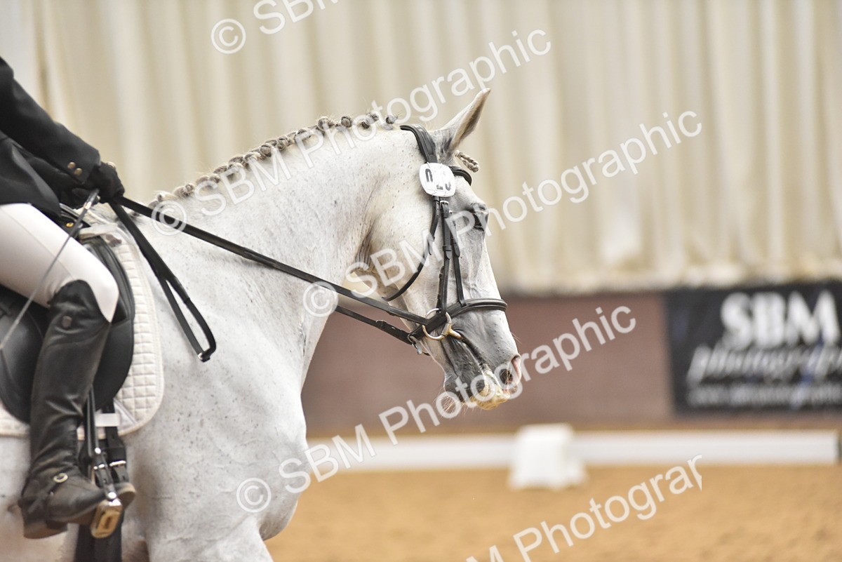 SBM_011035 - Class 8 - Novice 5