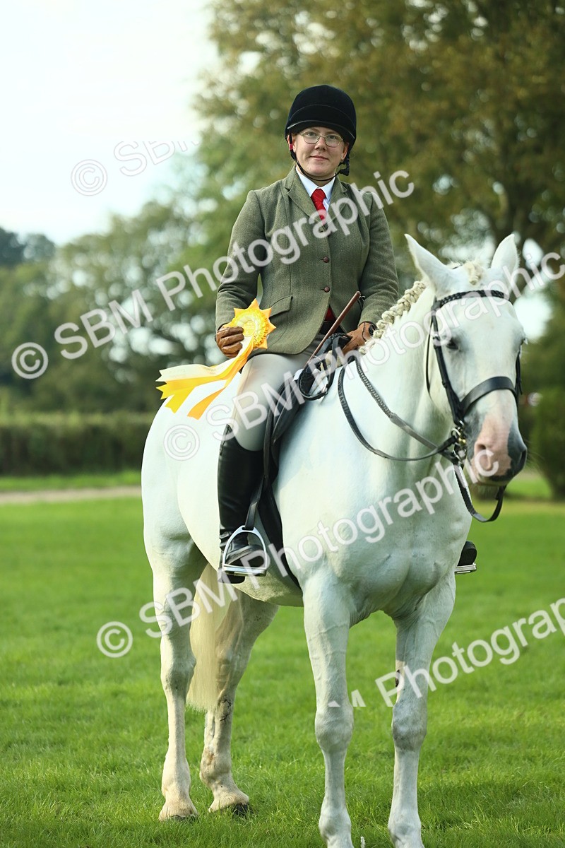 SBM_52236 - S33 - Working Hunter & Working Show Horse