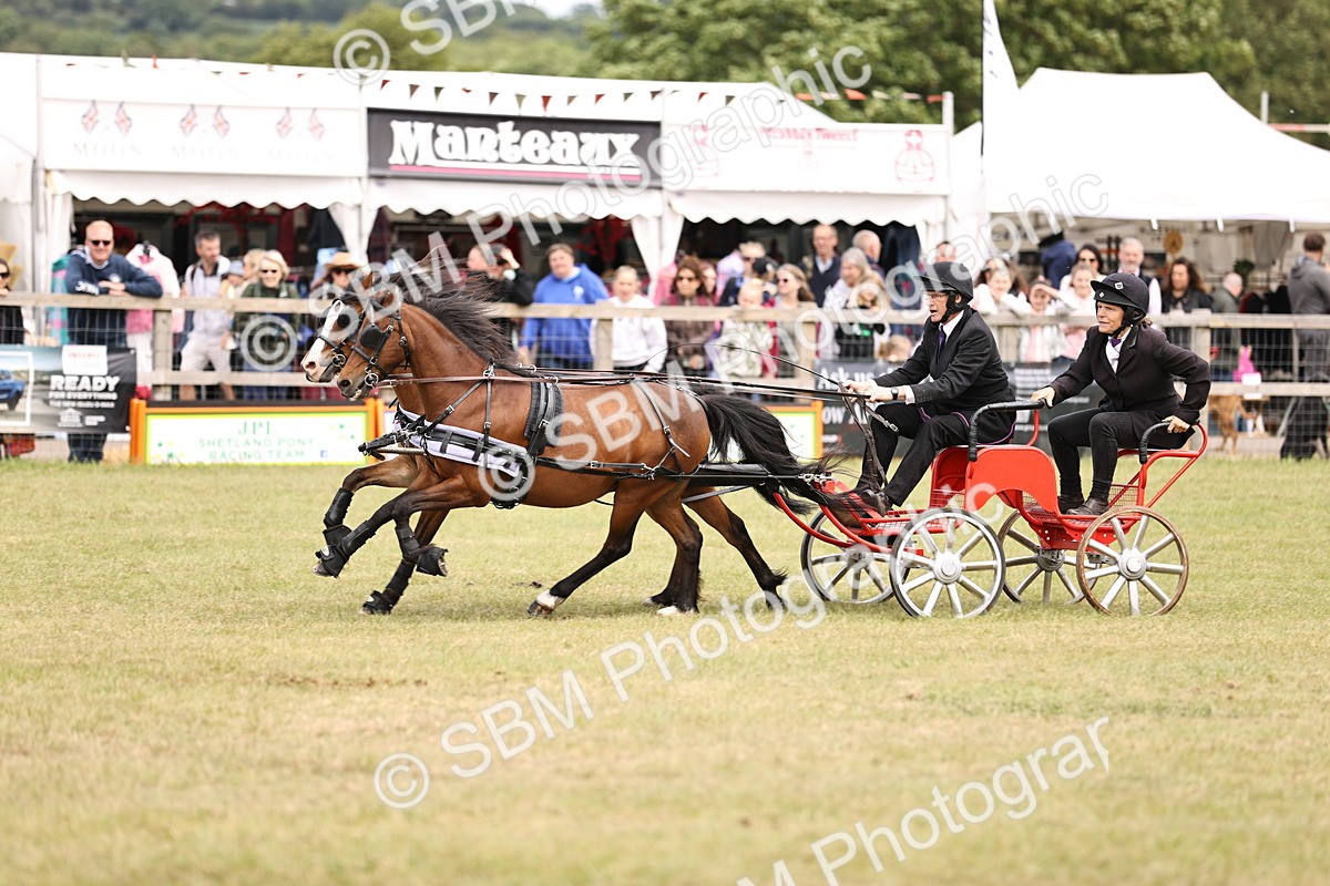 SBM_16099 - Class 91 - Scurry  exceeding 122cms