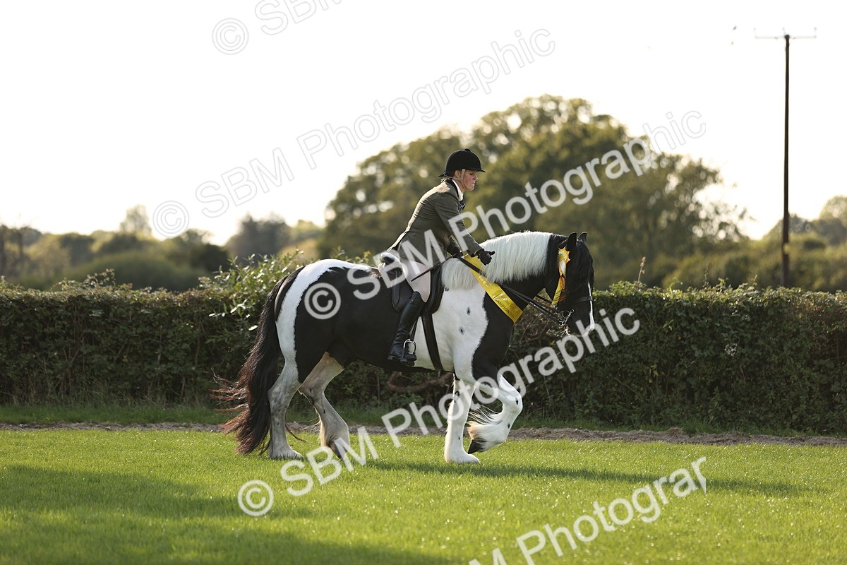 SBM_26504 - S6 - Novice & Newcomers Ridden Horse