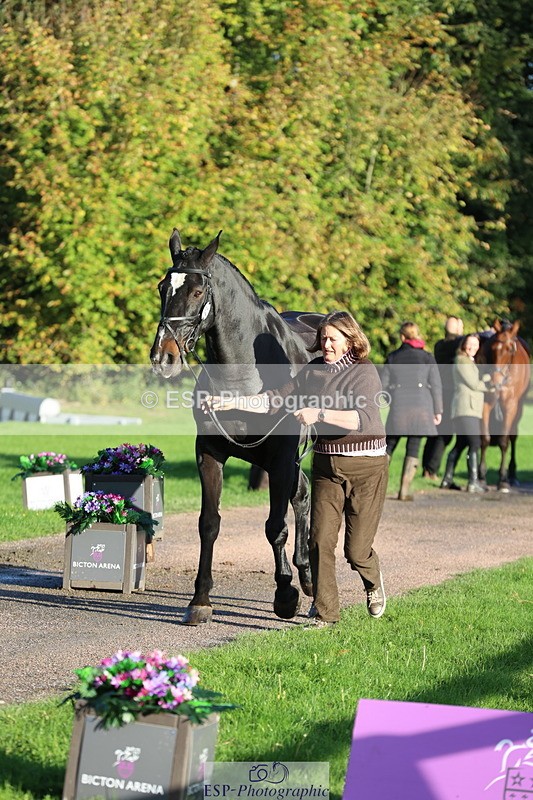 251026A-094513-22454 - D-343-Georgina.Owen