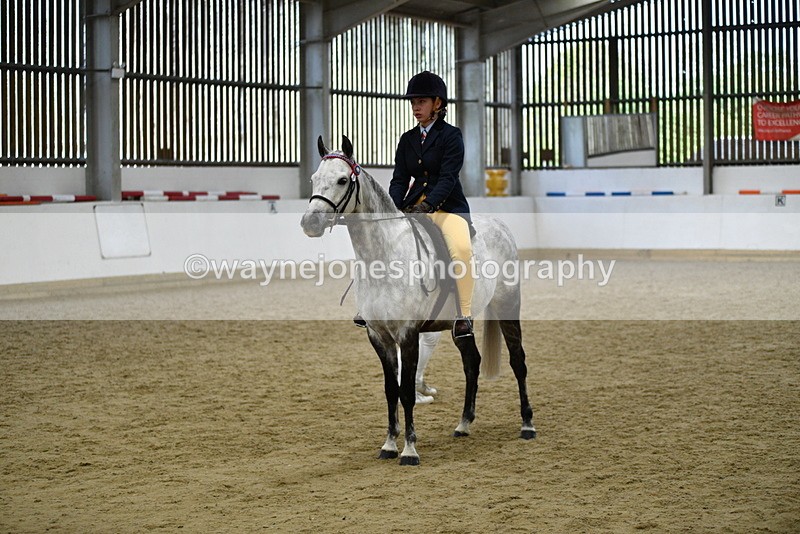 WJ5_7735 - Class 13 Ridden Part Breed