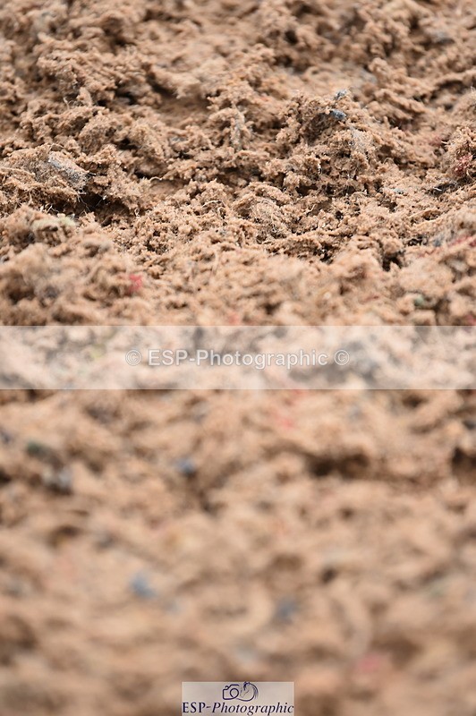 231029A-102822-02296 - 70cm Pony Intro