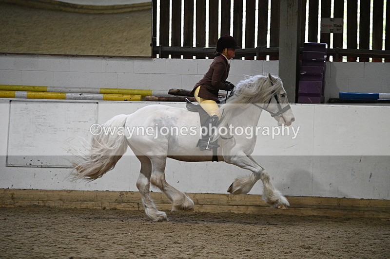 WJ7_3692 - Class 16 Ridden Coloured/ Odd Coloured