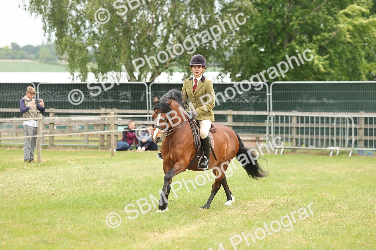SBM_07207 - Class 76-77 - Ridden M&M Welsh Ponies