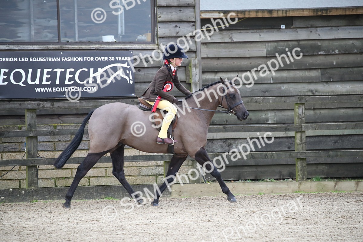 SBM_004632 - Class 5-9 - NPS In Hand-Show Hunter-Intermediate Ridden Inc Ridden Championship