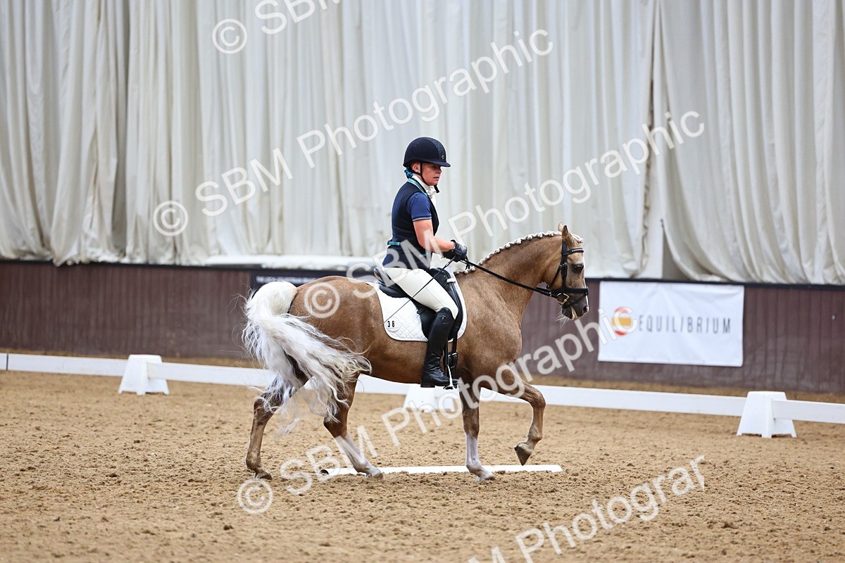 SBM_005575 - Elementary 2