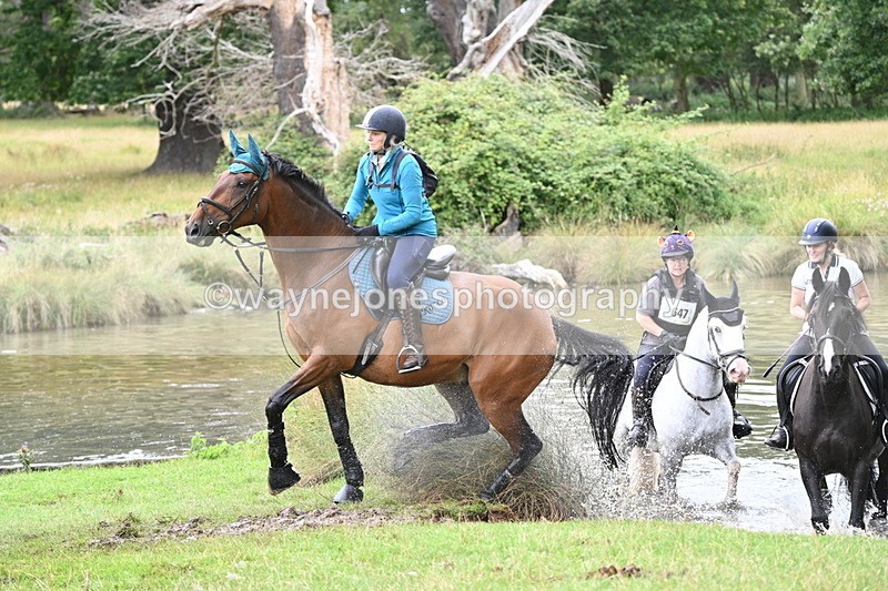 WJ7_2680 - Time at Water 11:37 to 12:13