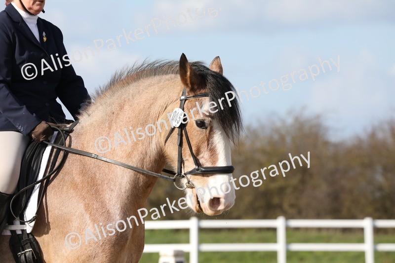 20260314-5006 - CT6 - Elementary 1