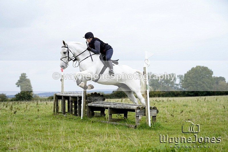 _DSC6447 - Edited examples