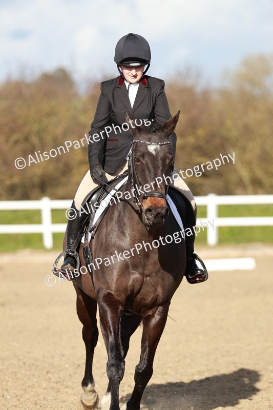 20260314-5361 - DR4 - Prelim 2