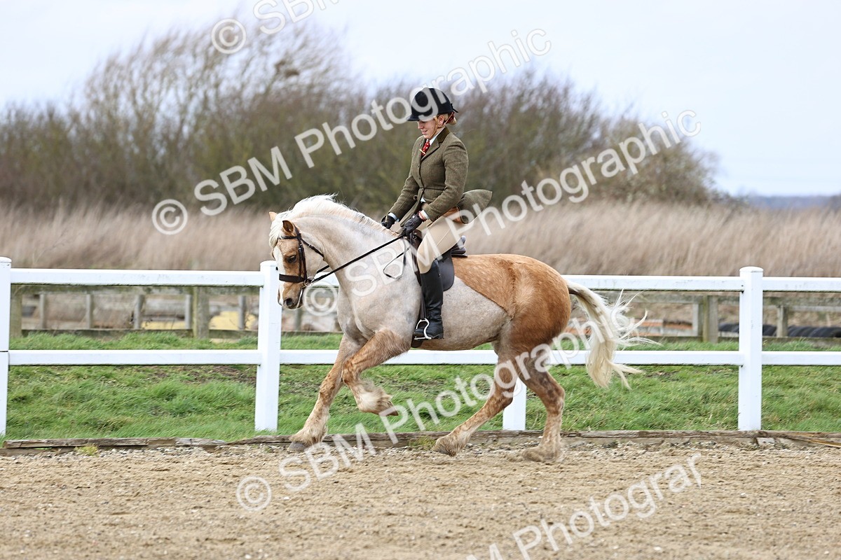 SBM_006930 - Class 29 - 30 - M&M Pure Novice Small-Large Breeds