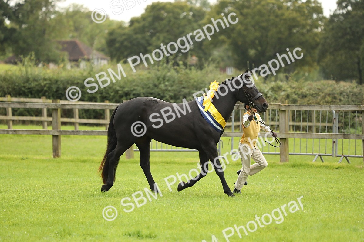 SBM_75426 - Equitation Supreme Championship