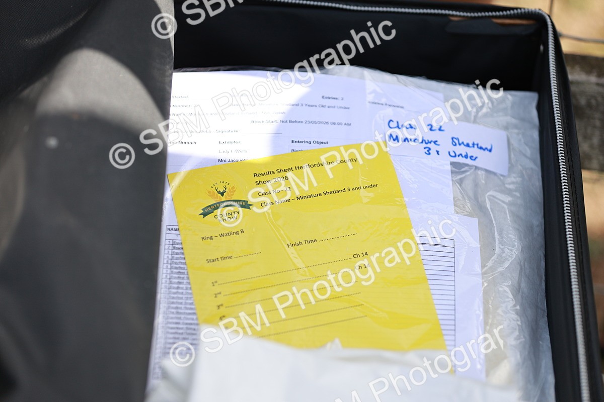 SBM_01868 - Class 14-23 - Mountain & Moorland In Hand Non Welsh