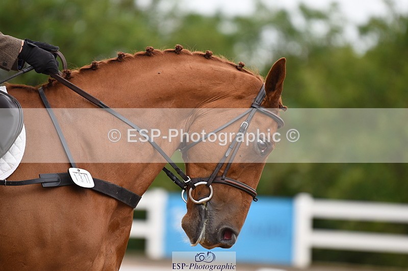 230912A-124832-00930 - Cls 8 Elementary 59