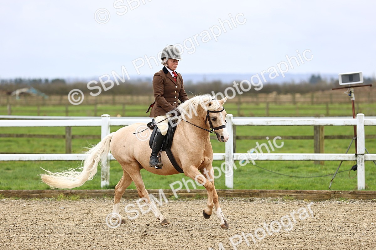 SBM_006767 - Class 29 - 30 - M&M Pure Novice Small-Large Breeds