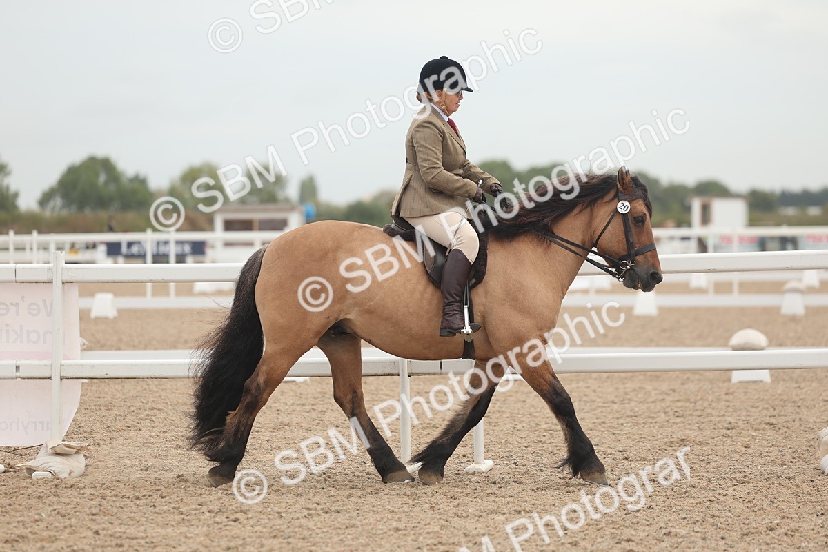 SBM_01856 - Class 14 - Ridden M&M Wildcard