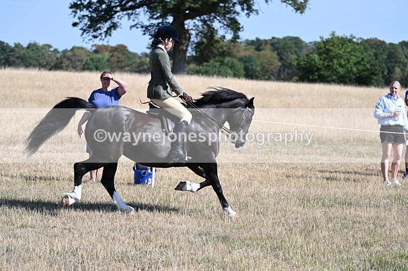WJ7_3733 - Class 9 Mountain & Moorland Ridden