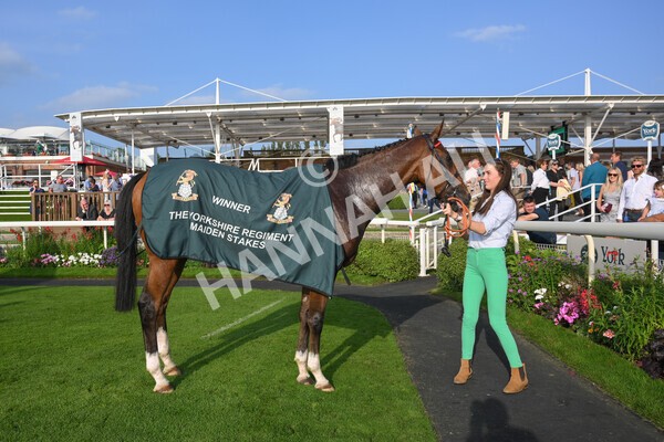yr05092021r7-52 - Race 7 5.10pm Yorkshire Regiment Stakes