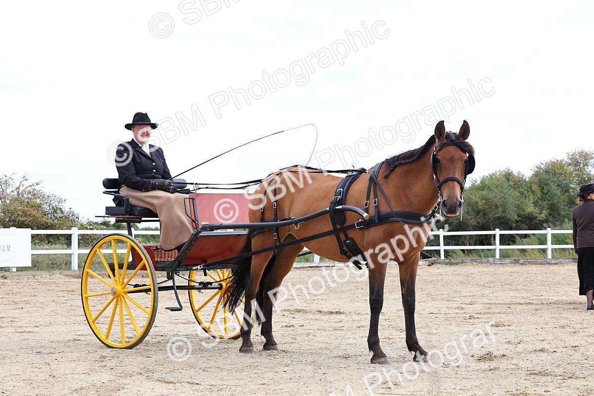 SBM_000787 - Class 6 - Exercise Vehicle 13.2 and over
