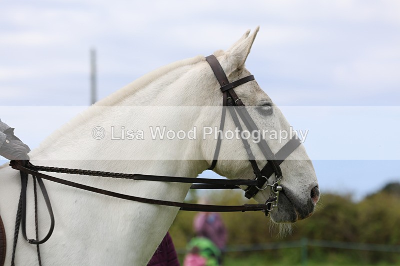 3E7A1336 - Class 7: Ridden Hunter Type