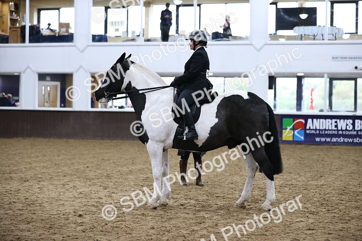 SBM_6362 - Class 45-42 - Ridden Irish Breeds-Ridden Cob